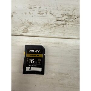 PNY Premium 16GB SDHC Memory Card Class 4 Flash Card 4hr HD Video P-SDHC16G4-GE